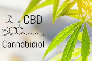 Dr-Joanne-Halbrecht-MD-CDA-Orthopedics-CBD-Oil-Cannabis